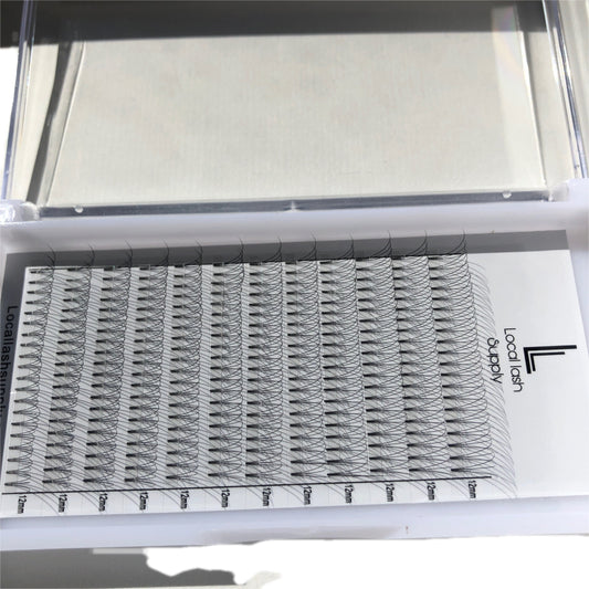 Local Lash Supply 12D Premade Volume Lashes